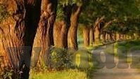 竞猜足球比分直接-竞猜足球比分,激情与智慧交织的博弈盛宴