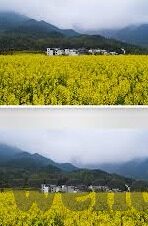 雷踢足球比分-雷动绿茵场,一场足球比分的背后藏着多少热血与梦想?
