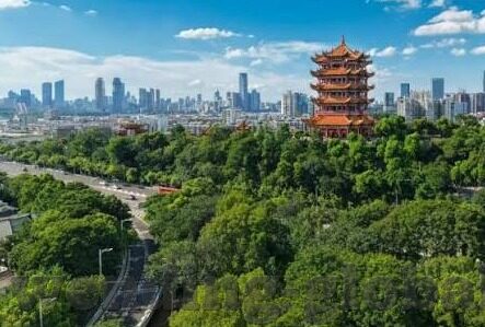 足球比分大師-探秘足球比分大师,数据背后的智慧与激情