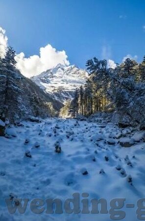 足球比分直播雪缘-足球比分直播雪缘,绿茵场上的数字心跳与情感共鸣