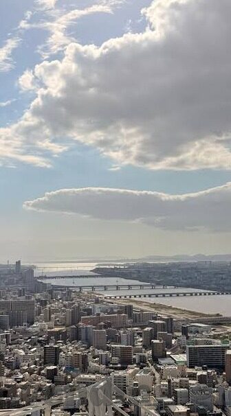 足球分网即时比分-足球分网即时比分,球迷的实时信息盛宴与赛事分析利器