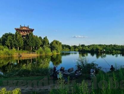 足球即时倍率比分-足球即时倍率比分,一场数据与激情的碰撞盛宴