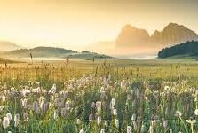 足球两回合比分-足球两回合比分,策略、激情与命运的交织
