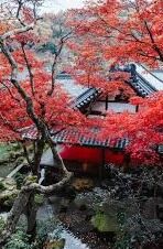 足球预测分析比分-精准制胜,足球预测分析比分的艺术与科学